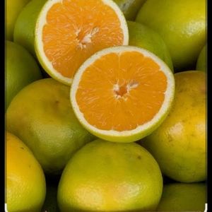 imagem do produto Laranja pera kilo