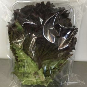 imagem do produto Alface roxa 180 gr