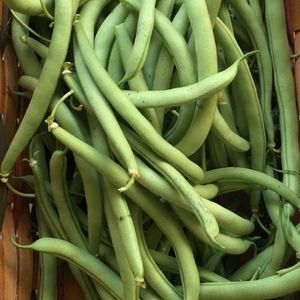 imagem do produto Vagem 1kl