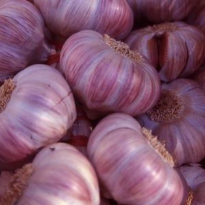 imagem do produto Alho kilo