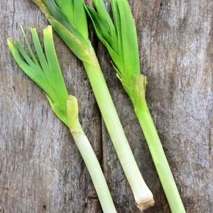 imagem do produto Alho poró palito 