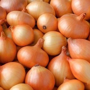 imagem do produto Cebola 1 kl