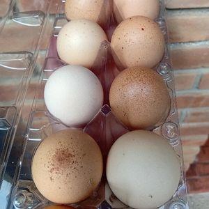 imagem do produto Ovos caipira duzia