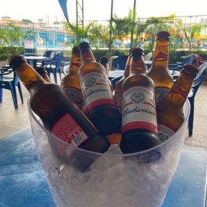 imagem do produto Budweiser