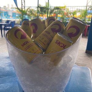imagem do produto Skol