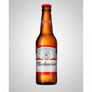 imagem do produto Cerveja Budweiser 