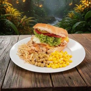 imagem do produto X frango 