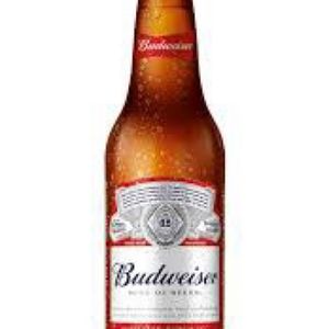 imagem do produto Budweiser