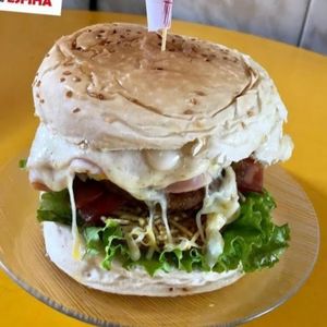 imagem do produto X-Tudo