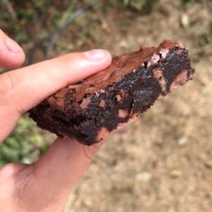 imagem do produto Brownie Tradicional 