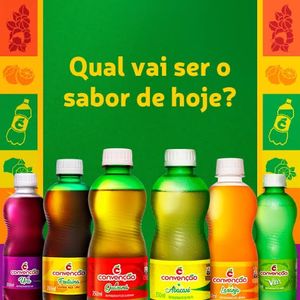 imagem do produto Convenção Sabores 350ml 12un .