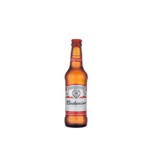 imagem do produto Budweiser 330ml 6un.