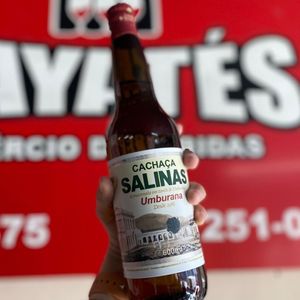 imagem do produto Salinas umburana 600ml