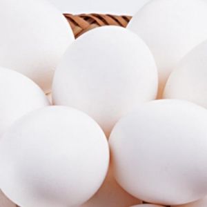 imagem do produto Dúzia Branco Grande 