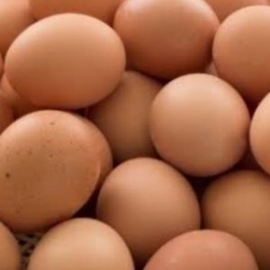 imagem do produto Dúzia Vermelho  Extra 