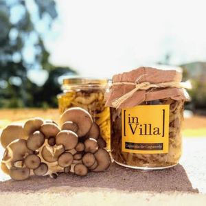 imagem do produto Caponata de cogumelo