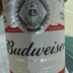 imagem do produto Budweiser long