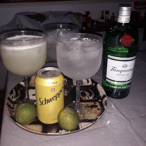 imagem do produto Drinks tanqueray ( gin)