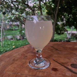 imagem do produto Néctar de Cacau 2l