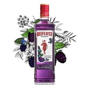 imagem do produto Beefeater roxa