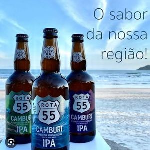 imagem do produto Cerveja Artesanal IPA - Rota 55