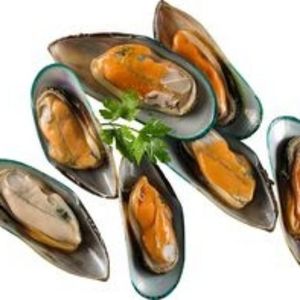 imagem do produto Marisco Meia Concha