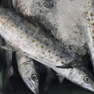 imagem do produto Sororoca Fresco