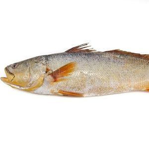 imagem do produto Pescada Amarela Fresco