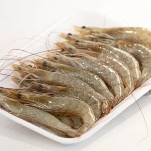 imagem do produto Camarão Cinza