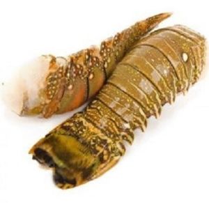 imagem do produto Calda de Lagosta