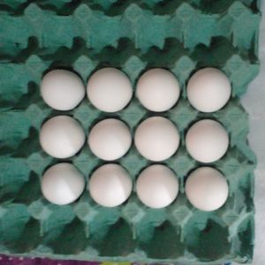 imagem do produto Ovos ( DUZIA)