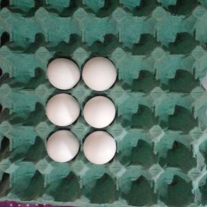 imagem do produto Ovos ( MEIA DUZIA)