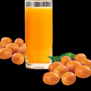 imagem do produto Suco de Cajá 300 ml