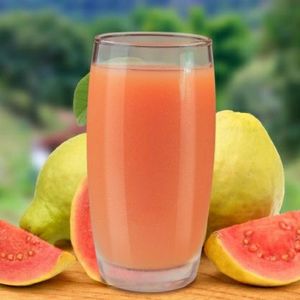 imagem do produto Suco de goiaba 300ml 