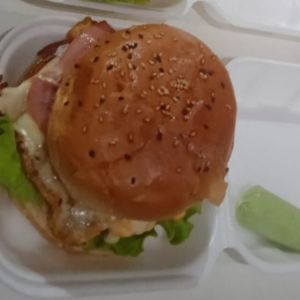 imagem do produto Combo Gourmet simples+coca cola lata 350ml 