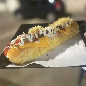 imagem do produto Dogão Especial Premium 25cm 