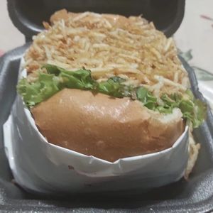 imagem do produto X-Tudo