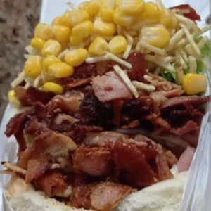 imagem do produto X-TUDO