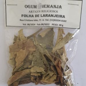 imagem do produto Folha de Laranjeira