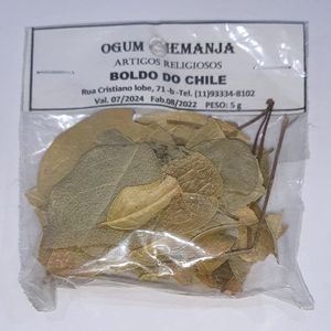 imagem do produto Bolso do Chile