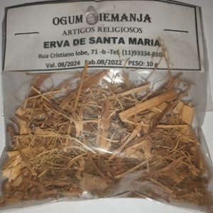 imagem do produto Erva de Santa Maria