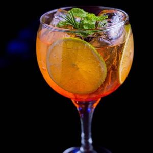 imagem do produto Gin tônica tropical 