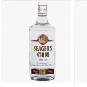imagem do produto Gin Seagers-1l