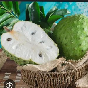 imagem do produto Graviola