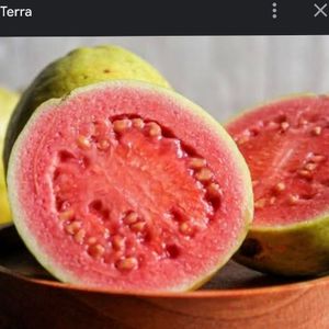 imagem do produto Goiaba