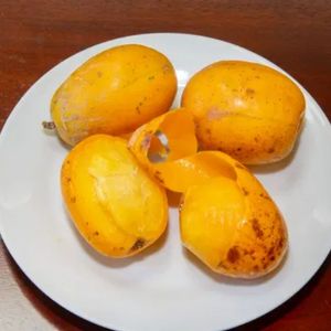 imagem do produto Cajá