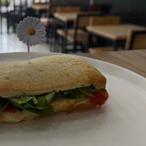 imagem do produto Pane Tacchino