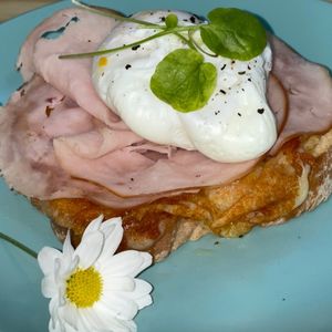 imagem do produto OVONUTO