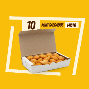imagem do produto 10 salgados 20gr