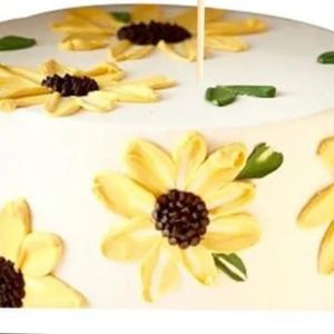 imagem do produto Bolo Recheio Especial 20cm 